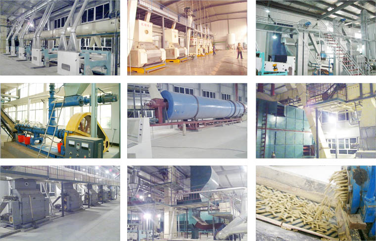 Oilseed Pretreatment Equipment pre-traitement de graine oléagineux