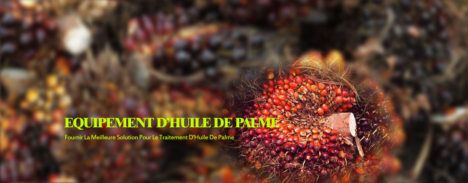 Equipement d'huile de palme