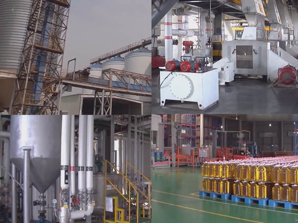 usine d’huile de soja