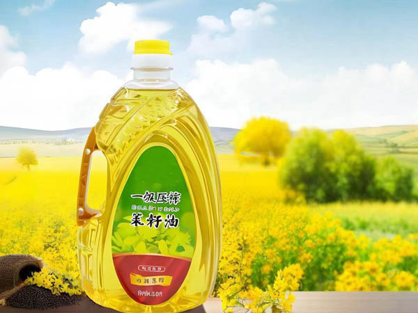 Usine de Production d’Huile de Canola & Machines de Traitement | Solutions Clés en Main 20–5000 TPD